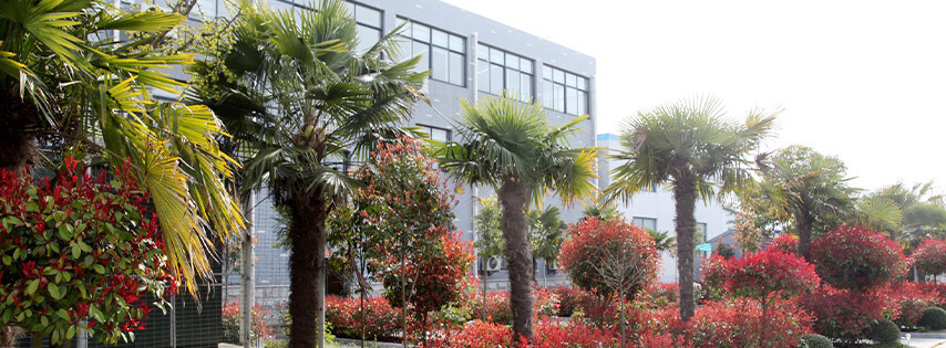 Coastal Zinc Group considers its duty towards the nature and society, the plants are designed and maintained as per the guidelines set by the pollution control regulations of China. Sustainability is an important consideration in the operation activities. With the support of the group R&D team, we provide technical support & solutions for the treatment and recycling of zinc-containing wastes and other toxic waste. We will go along with green energy, low carbon footprint, reducing emissions and waste. Ensure the Health, Safety and Environmental programs get better year by year. Coastal Zinc Group considers its duty towards the nature and society, the plants are designed and maintained as per the guidelines set by the pollution control regulations of China. Sustainability is an important consideration in the operation activities. With the support of the group R&D team, we provide technical support & solutions for the treatment and recycling of zinc-containing wastes and other toxic waste. We will go along with green energy, low carbon footprint, reducing emissions and waste. Ensure the Health, Safety and Environmental programs get better year by year.