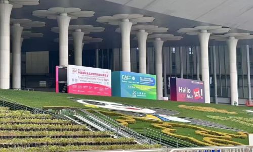 Coastal Zinc Presented at CAC 2025 in Shanghai